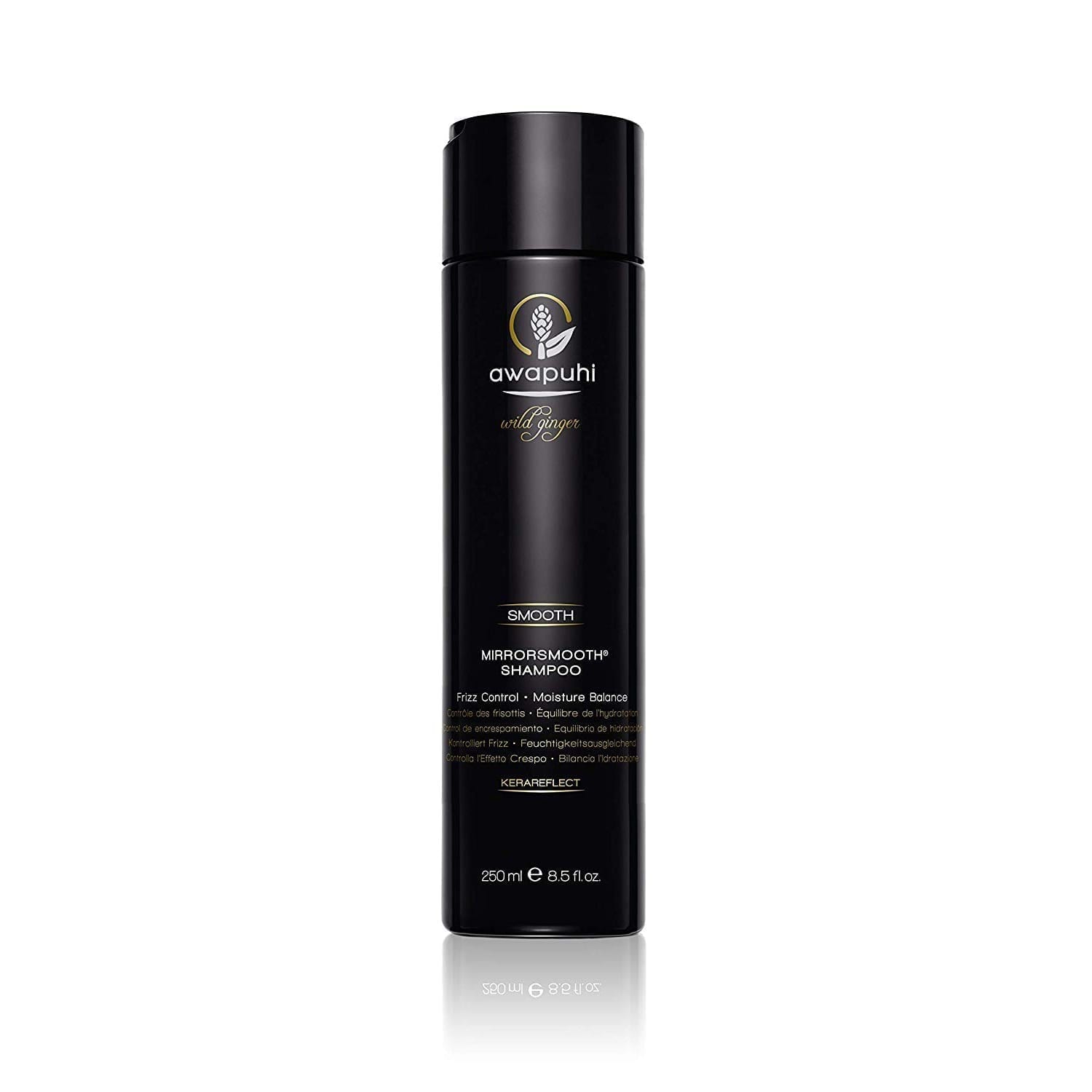 Paul Mitchell Awapuhi Wild Ginger Mirror Smooth Shampoo BNIKONN