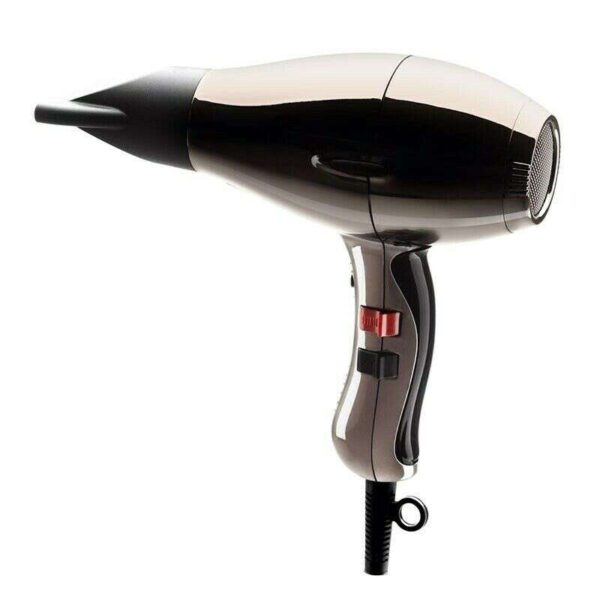 Elchim 3900 Healthy Ionic Hairdryer Titanium Edition 