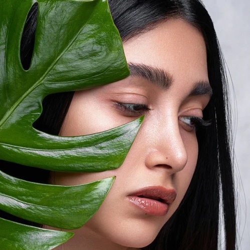 Vegan Products